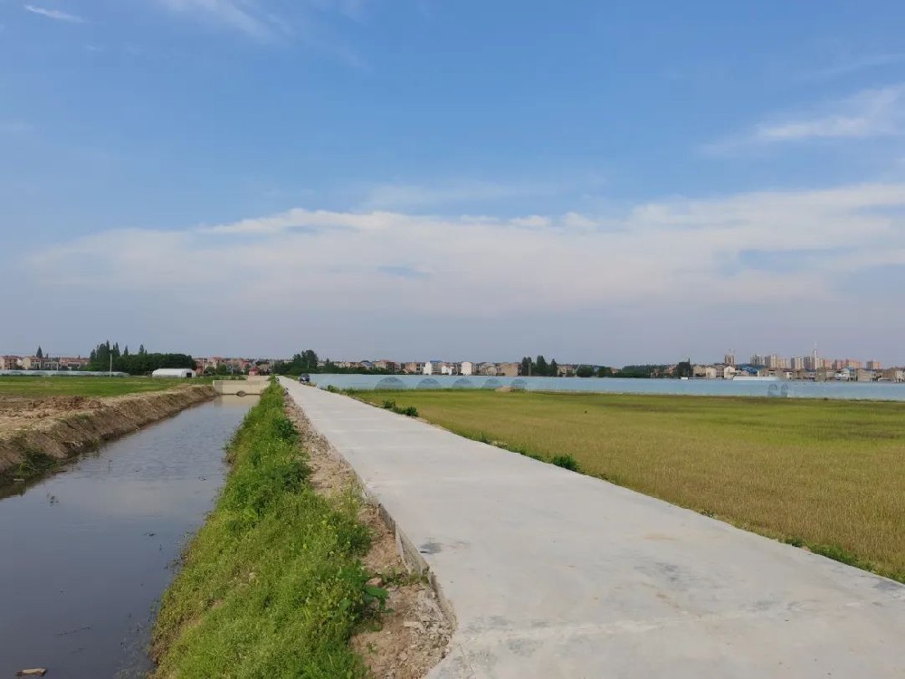 临潼区高标准农田建设项目